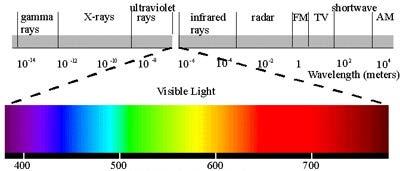 color and certain spectral wavelengths affect the chemical composition of foods.