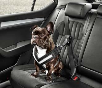 Dog safety belt Size S (000 019 409A) Size M (000 019