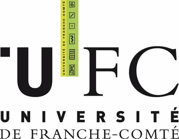 Hibon ** * University of Franche-Comte, FEMTO-ST
