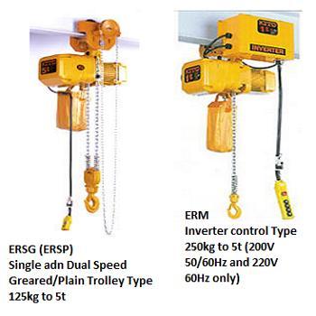 The ER2 Series Hoists feature advanced hoist technology, easy serviceability, and unmatched durability. There are many options to increase your productivity.
