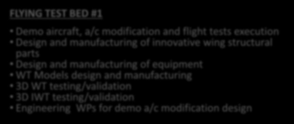 FLYING TEST BED #1 Setup and Implementation R-IADP Opportunity areas for Participants ALENIA Demo aircraft, a/c