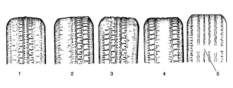 2004 SUSPENSION Tires And Wheels - Corvette SPECIFICATIONS FASTENER TIGHTENING SPECIFICATIONS Fastener Tightening Specifications Specification Application Metric English Wheel Nuts In Sequence 140 N.