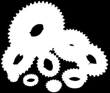 Double simplex sprockets are