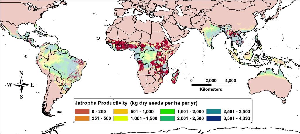Jatropha Productivity and Land Uses at Community Scale (Level III) Opportunity for Jatropha as biofuel fulfilling energy demands