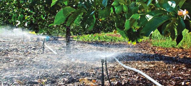 MINI SPRINKLER SERIES 700 Series 52-700-xx mini sprinkler is an insect proof dynamic sprayer for under canopy irrigation with a full range of flow rates and excellent distribution uniformity.