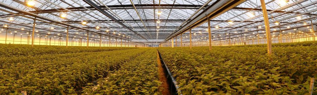 large systems Greenhouse 1.
