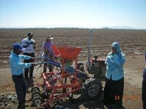 dry), the two wheel tractor with the seed drill was demonstrated on the edge of an irrigated cotton field.