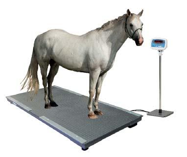 Veterinary Product Code D ANIMAL WEIGHING INDUSTRIAL SHIPPING WAREHOUSE PS3000HD Accuracy +/- 3 displayed divisions of applied load* (*applied load is greater than 3% of scale capacity) Capacity 1500