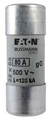 IEC and British Standard fuses 5 Class gg IEC 60269 industrial ferrule fuses 10 to 22mm diameter IEC Class gg fuses with optional indicators (10x38mm only) and strikers.