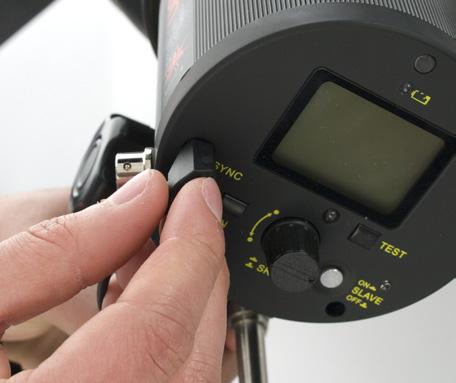 sync input on the TritonFlash head.