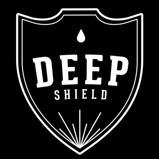 Deep Shield leaves a protective coating on plastics and paint that restores the color to it s original state, and it also works