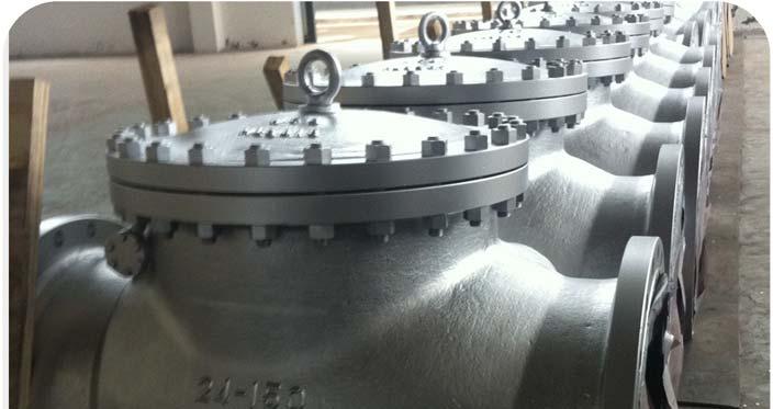 Products Range > Check Valve Swing Type Check