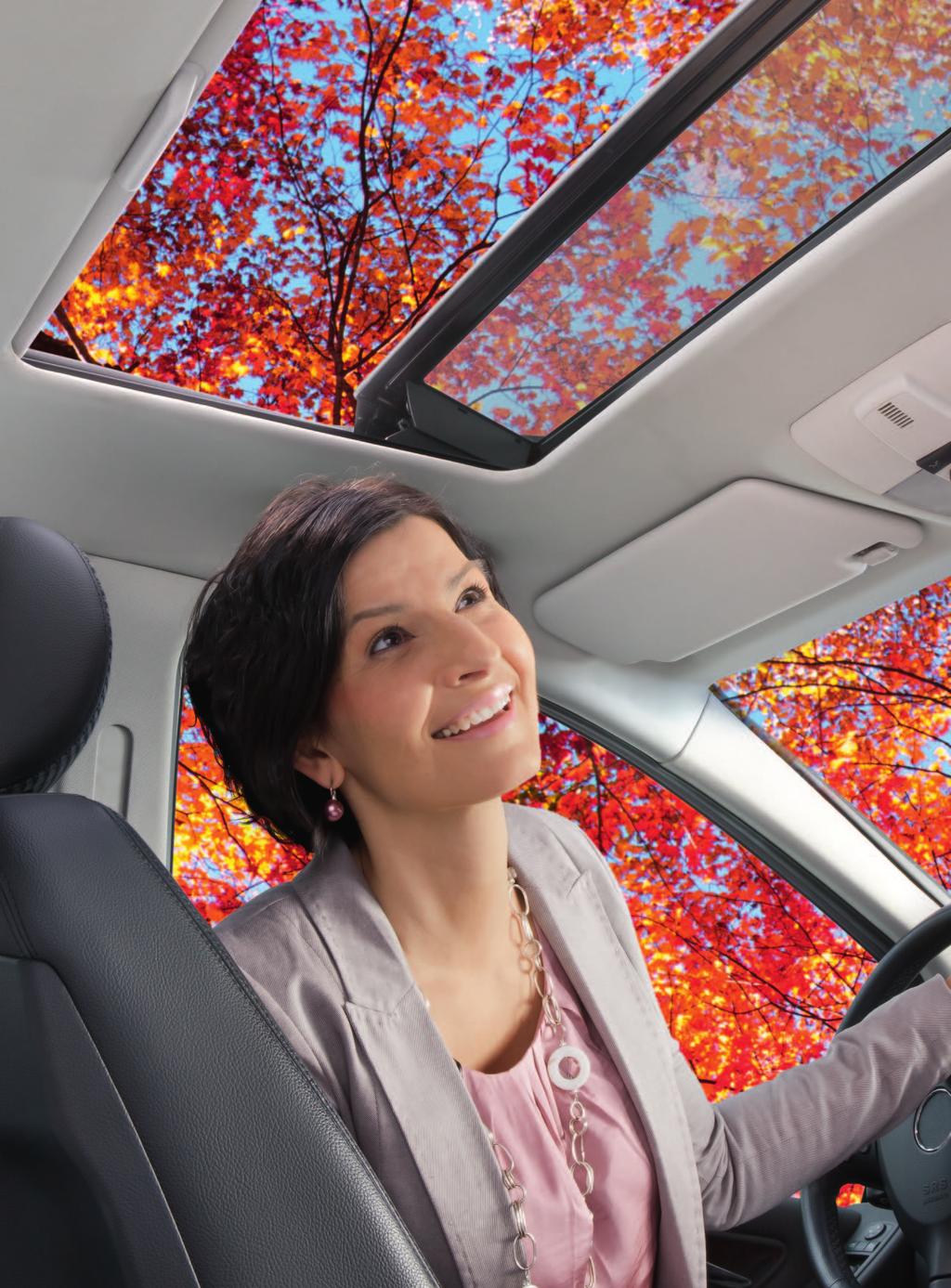 sunroof. Due to its elegant design and particularly smooth material, this operating element stands out with two models.