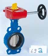 Butterfly valves CNPP Version (National Center for Prevention and Protection) : DN32/0 - DN300 mm FM Version (Factory Mutual approval) : DN32/0 - DN300 mm Summary COATING Internal External Sale