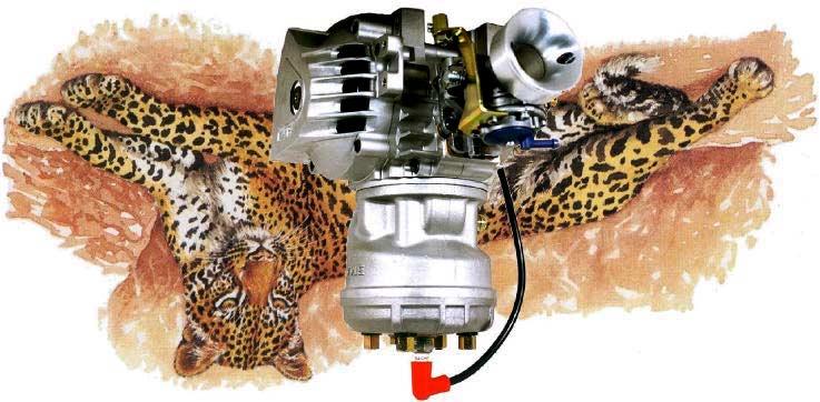 C 125cc LEOPARD TaG engine 2003 ASSEMBLY