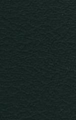 black cloth GT Leather Black Leather Disclaimer This colour guide has been added to facilitate the ordering process.