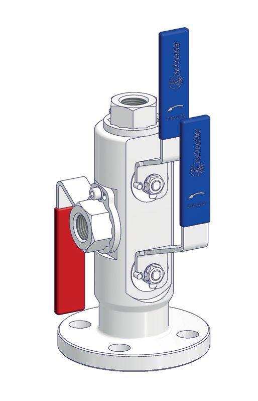 Features two independently operable ball valves for isolation with an intermediate needle valve