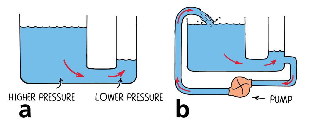34.1 Flow of Charge a. Water flows from higher pressure to lower pressure. The flow will cease when the difference in pressure ceases. b.