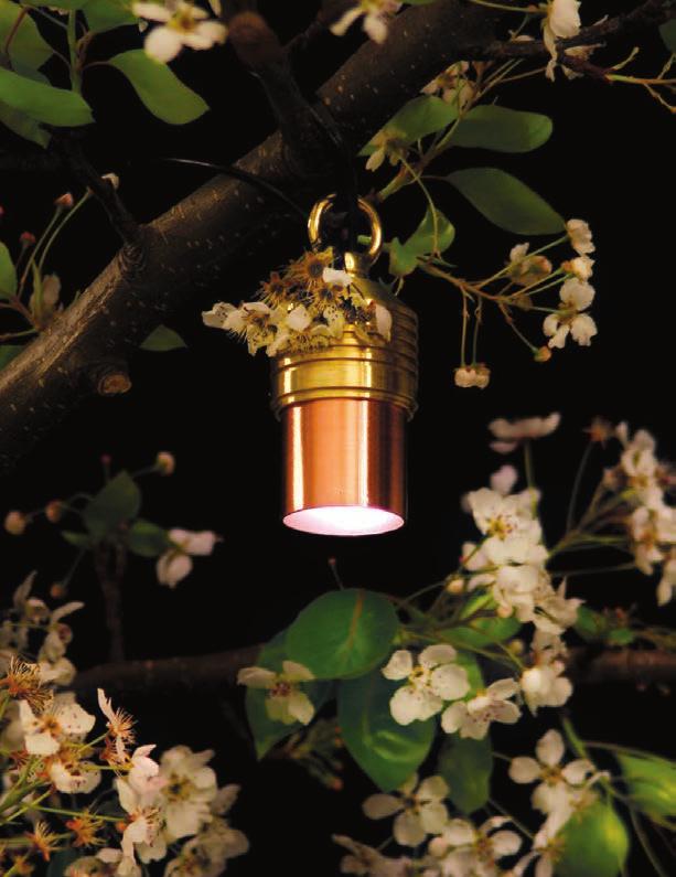 From gardens to outdoor dining areas, we offer a full suite of down lights to