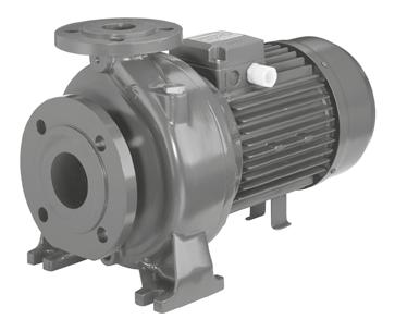 MD MMD Cast iron monobloc centrifugal pumps conforming to en 733.