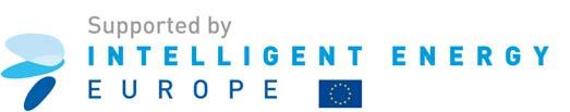 ALTER-MOTIVE FINAL REPORT 3 The ALTER-MOTIVE project: Year of implementation: October 28 to March 211 Client: European Commission, EACI; Intelligent Energy for Europe-Programme, Contract No.
