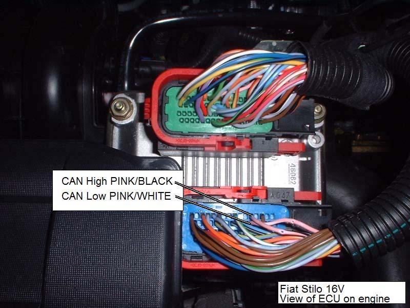 Fiat Stilo Wire Colours CAN HIGH CAN LOW PINK / BLACK