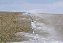 PIVOT MASTER IMPACT Pivot Master Senninger s Pivot-Master impact sprinklers distribute water in a low 6 trajectory and are designed to resist wind-drift.