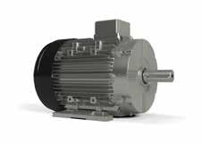 efficiency class IE2 and IE3 230-690V. Customised medium and high voltage motors are available on request.