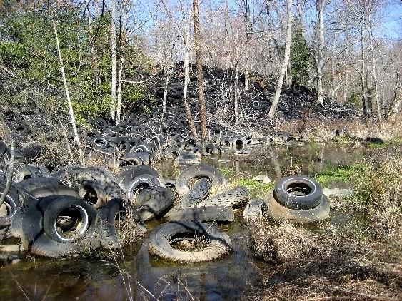 This stockpile consisted of approximately 1,135,160 scrap tires in seven ravines on the property. In FY 2005, the Board of Public Works approved funding for the cleanup.