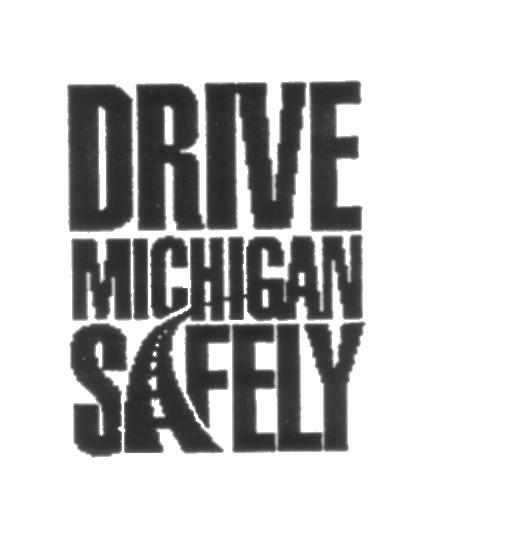 We incorporated many of your suggestions in the 1994 edition: A copy of the Michigan Traffic Crash Report (UD-10).
