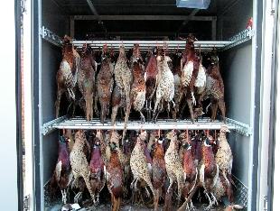 or with carcase rail systems for venison (6 red deer or 10 roe deer carcasses in a 3.