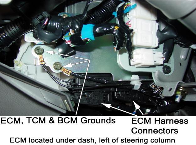 Engine Bay Grounds Ensure all engine bay ground connections are clean and tight.