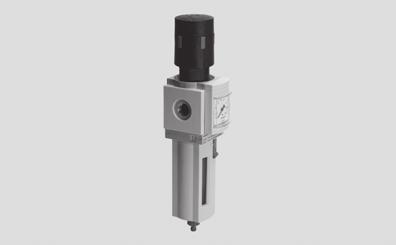 Technical Data ISO Symbol Manual bowl drain Semi or fully automatic bowl drain General Technical Data Pneumatic connection 1, 2 x NPT ¼ NPT Filtration grade [μm] 5 (air purity class at the output 3.7.