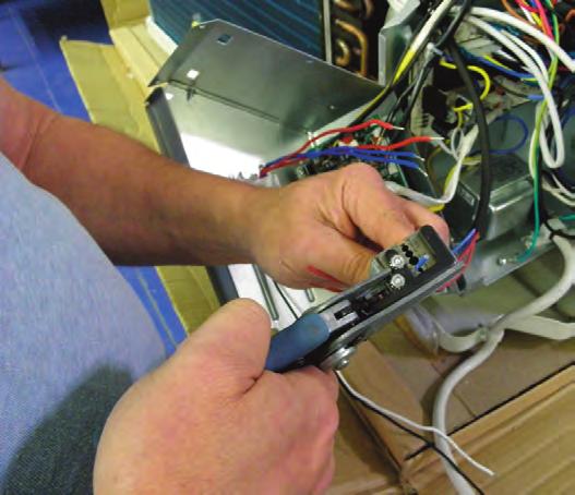 Using wire strippers remove 1/2 of insulation from