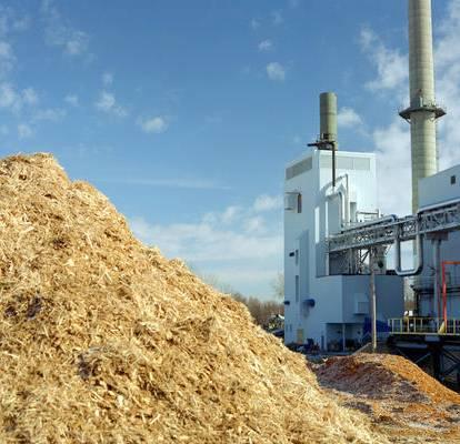 The Biorefinery Concept Biomass Feedstocks Trees Grasses Agricultural crops Residues Animal wastes Municipal solid waste Conversion Processes