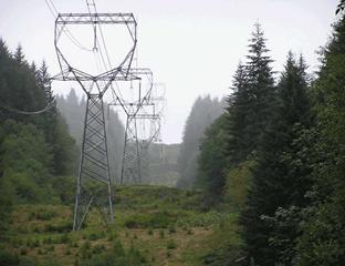 Long Outages Transmission Elements : Feb- 2017 Si.