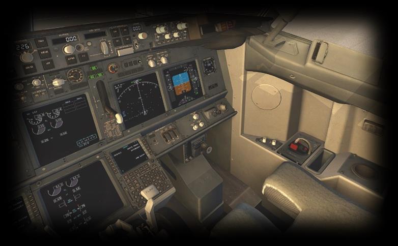 Hint: To best view some of the switches featured in this aircraft, it is helpful to hide the pilot and co-pilot yokes.