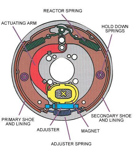 18. The drum brake shoes