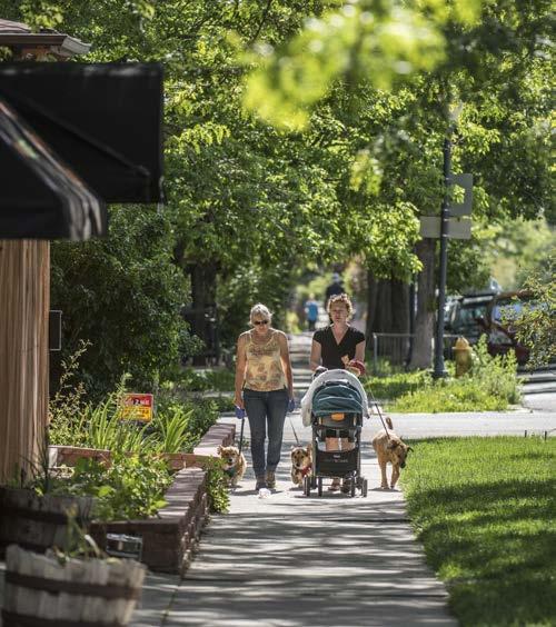 Improving Mobility Freedom in Denver Neighborhood Sidewalk Repair Program: Repairing hazardous conditions in existing sidewalks for safer