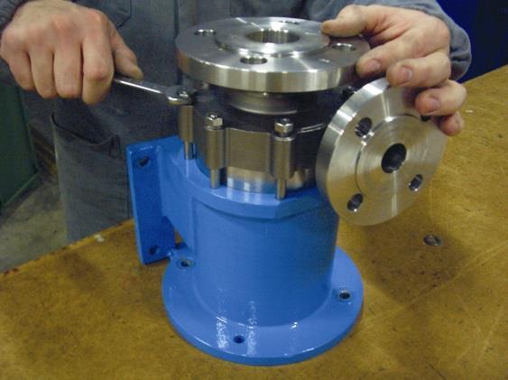 WARNING MAGNETIC M PUMPS PROCESS units contain extremely