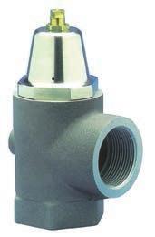 Available in non return valve version EDM SERIES FEC Series - Filters and filtering elements