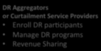 DR Users Independent System Operators (ISO) Regional Transmission Orgs.