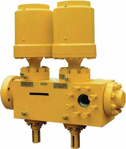 Magnum Subsea Gate Valve The Magnum Subsea Gate Valve and Actuator are designed for deepwater applications.