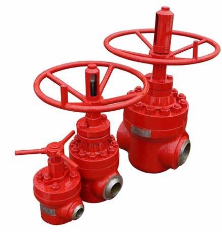 WOM s Other Dependable Valves Model 600 Mud Valve The Model 600 Mud Valve was designed for corrosive CO2 injection and waterflood applications in the enhanced oil recovery market.