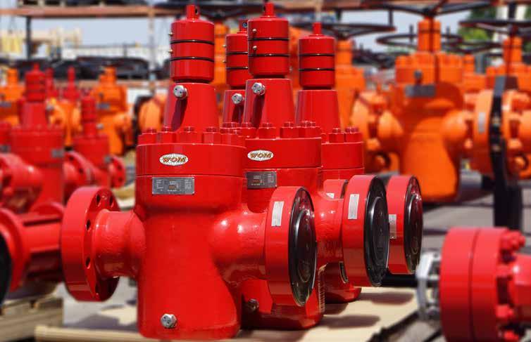 Gate Valve Standard Trims Standard Trim (AA) For general non-corrosive oil and gas service such as manifolds, Christmas trees, flowlines and other applications.