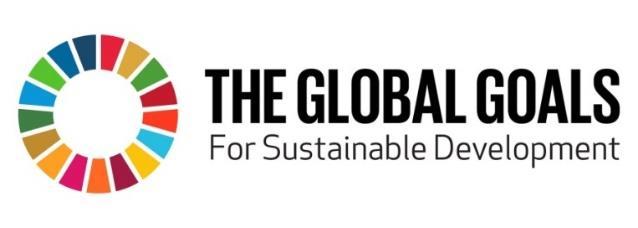 Corporate Social Responsibility: The SDGs and Road Safety The UN Sustainable Development Goals