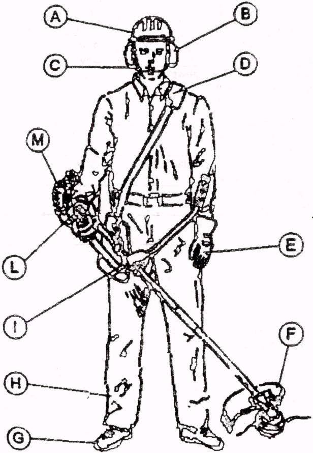 Safety equipment: A) Safety helmet B) Ear defenders C) Safety visor D) Harness E) Gloves F) Cutter guard G) Safety shoes