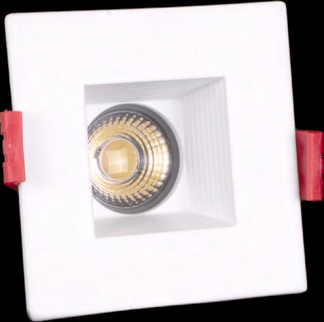 - Off-board driver minimizes installation height and maximizes fixture life through improved heat management - 120V input to driver - Dimmable to less than 5% with compatible TRIAC dimmers -