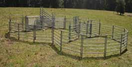 Cattle Yard Panels Our standard first grade panels are either 2.5m or 3.5m long and 1.7m high.