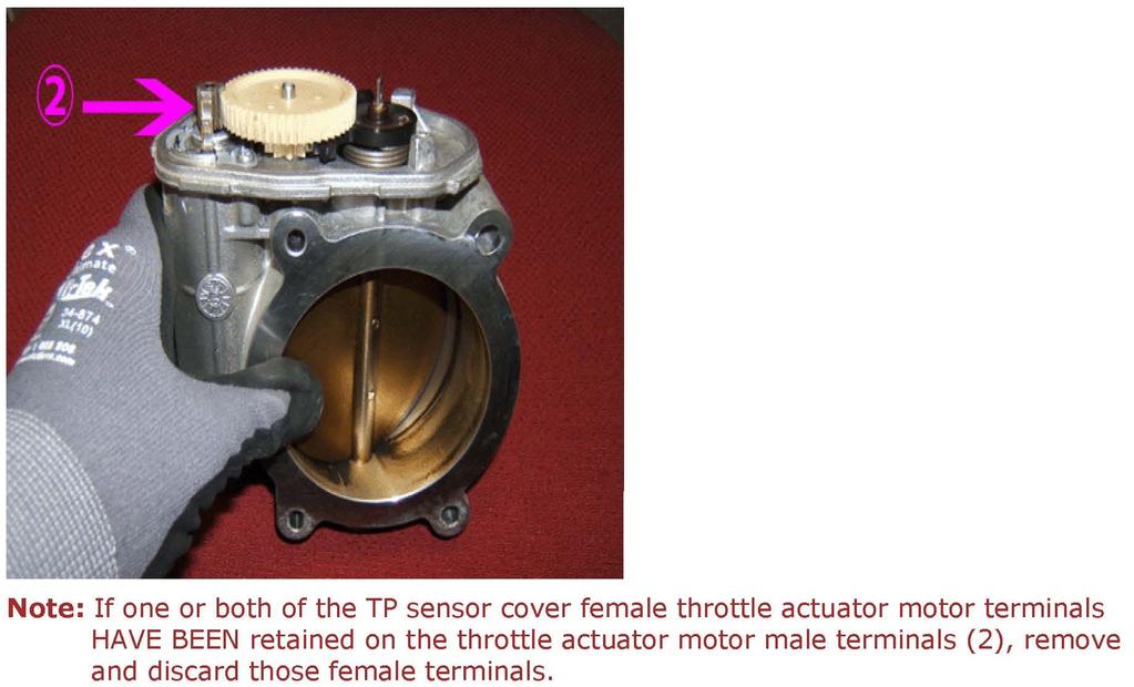 Observe the TP sensor cover for missing female throttle actuator motor terminals (1).